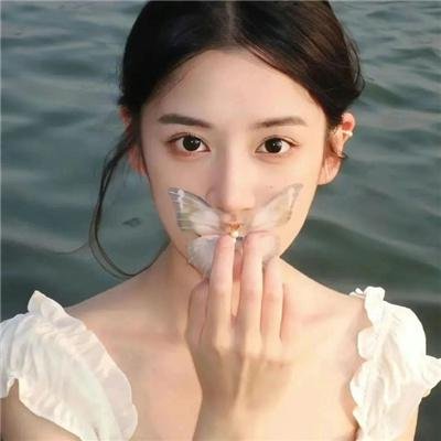 托托的色彩美学观